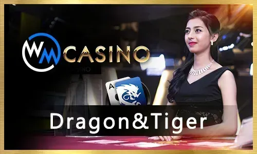 SlotVIP Live Dealer Experience